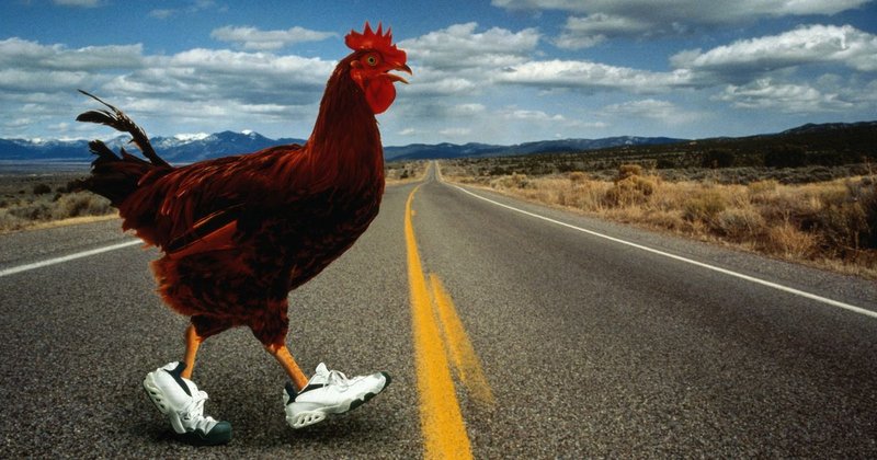 Image: Descubre el Lado Emocionante de Chicken Road en España en Línea